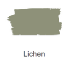 Lichen Fusion Mineral Paint
