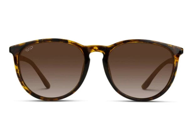 Drew Brown Sunglasses